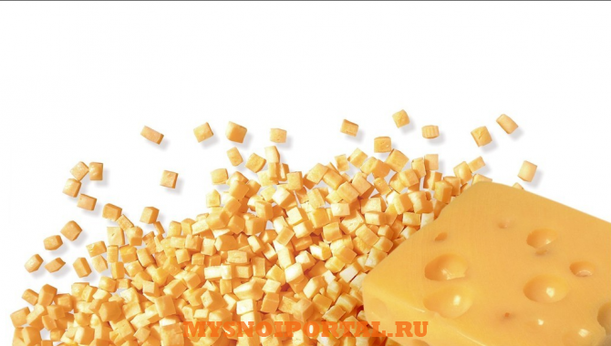 Продам: сыр сушеный термостабильный Тамбов - изображение 1