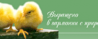 Баксанский бройллер