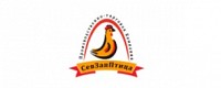 СЕВЗАППТИЦА