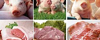 Новокуйбышевский мясокомбинат | ООО "Мясной мир"