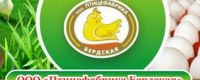 ООО «Птицефабрика Бердская»