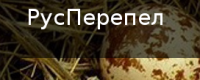 ООО "Русперепел"