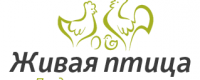 Магазин «Живая птица»